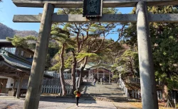 パワースポット「函館八幡宮」134段の石段を登って見えた絶景と今の姿