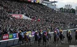 【完全網羅】有馬記念の歴代優勝馬（1956-2025）メイヂヒカリからミュージアムマイルまで名馬たちを紹介