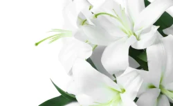 久米宏さん(81)、元日に肺がんで逝去… 「ニュースステーション」18年半、報道番組に革命をもたらした輝かしい経歴