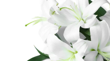 久米宏さん(81)、元日に肺がんで逝去… 「ニュースステーション」18年半、報道番組に革命をもたらした輝かしい経歴