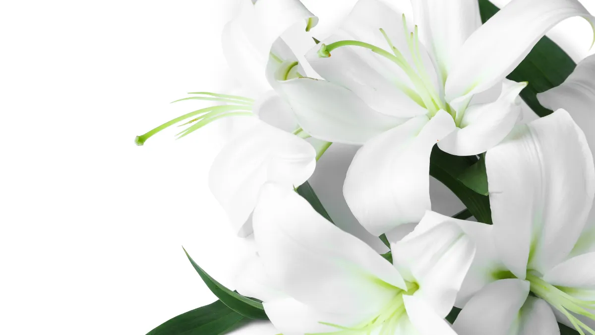 久米宏さん(81)、元日に肺がんで逝去… 「ニュースステーション」18年半、報道番組に革命をもたらした輝かしい経歴