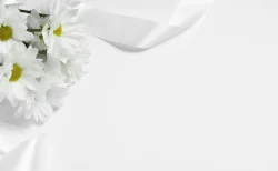 俳優・片岡五郎さん逝去 81歳、マダム路子の夫で品川祐の義父「余命1ヶ月を4ヶ月近く」穏やかな最期