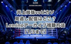 井上尚弥vsピカソの見逃し配信ガイド！Leminoアーカイブ視聴方法【1/3まで】