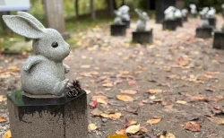 【出雲大社 参拝記】因幡の白うさぎ探しで癒される！縁結びの聖地で見つけた可愛い発見と散策レポ