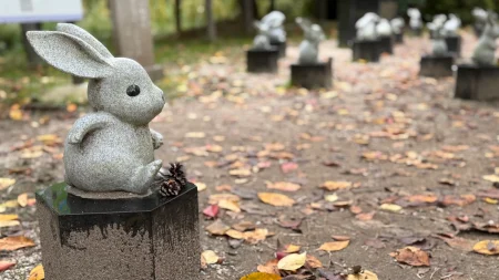 【出雲大社 参拝記】因幡の白うさぎ探しで癒される!縁結びの聖地で見つけた可愛い発見と散策レポ