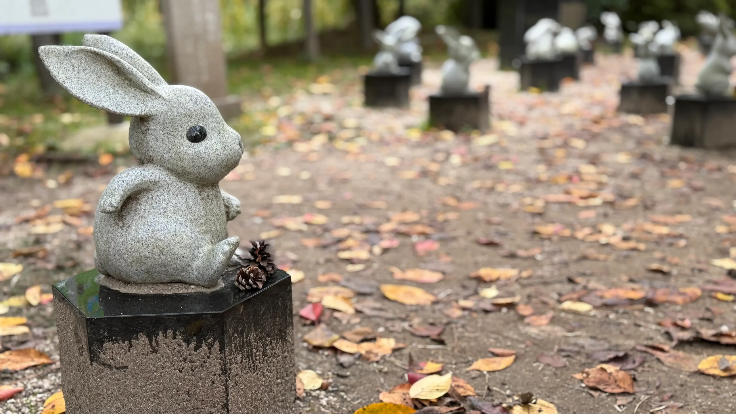 【出雲大社 参拝記】因幡の白うさぎ探しで癒される！縁結びの聖地で見つけた可愛い発見と散策レポ