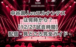 中谷潤人vsエルナンデスは何時から？【12/27の試合時間】配信・見どころ完全ガイド