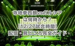 寺地拳四朗vsガルシアは何時から？【12/27試合時間】3階級制覇への挑戦