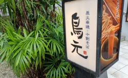 焼き鳥だけじゃない！市ヶ谷「鳥元」の絶品ランチ、親子丼を実食レビュー【2026年最新】