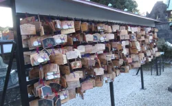 上野公園の黄金宮殿「上野東照宮」に行ってみた！拝観料500円の価値は？見どころと歴史を巡る旅