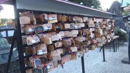 上野公園の黄金宮殿「上野東照宮」に行ってみた!拝観料500円の価値は?見どころと歴史を巡る旅