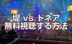 堤vsドネアの放送を無料視聴する方法【U-NEXT独占配信】