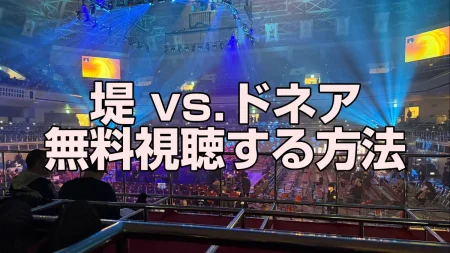 堤vsドネアの放送を無料視聴する方法【U-NEXT独占配信】
