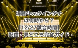堤麗斗vsクインタナは何時から？【12/27試合時間】兄・堤駿斗の無念を晴らす