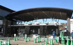 上野動物園を満喫！パンダに会えた平日午後の体験レポート