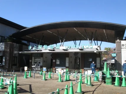 上野動物園を満喫!パンダに会えた平日午後の体験レポート