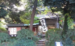 【実食レビュー】上野の森の隠れ家！100年を超える老舗「新鶯亭」で名物“鶯だんご”を味わう