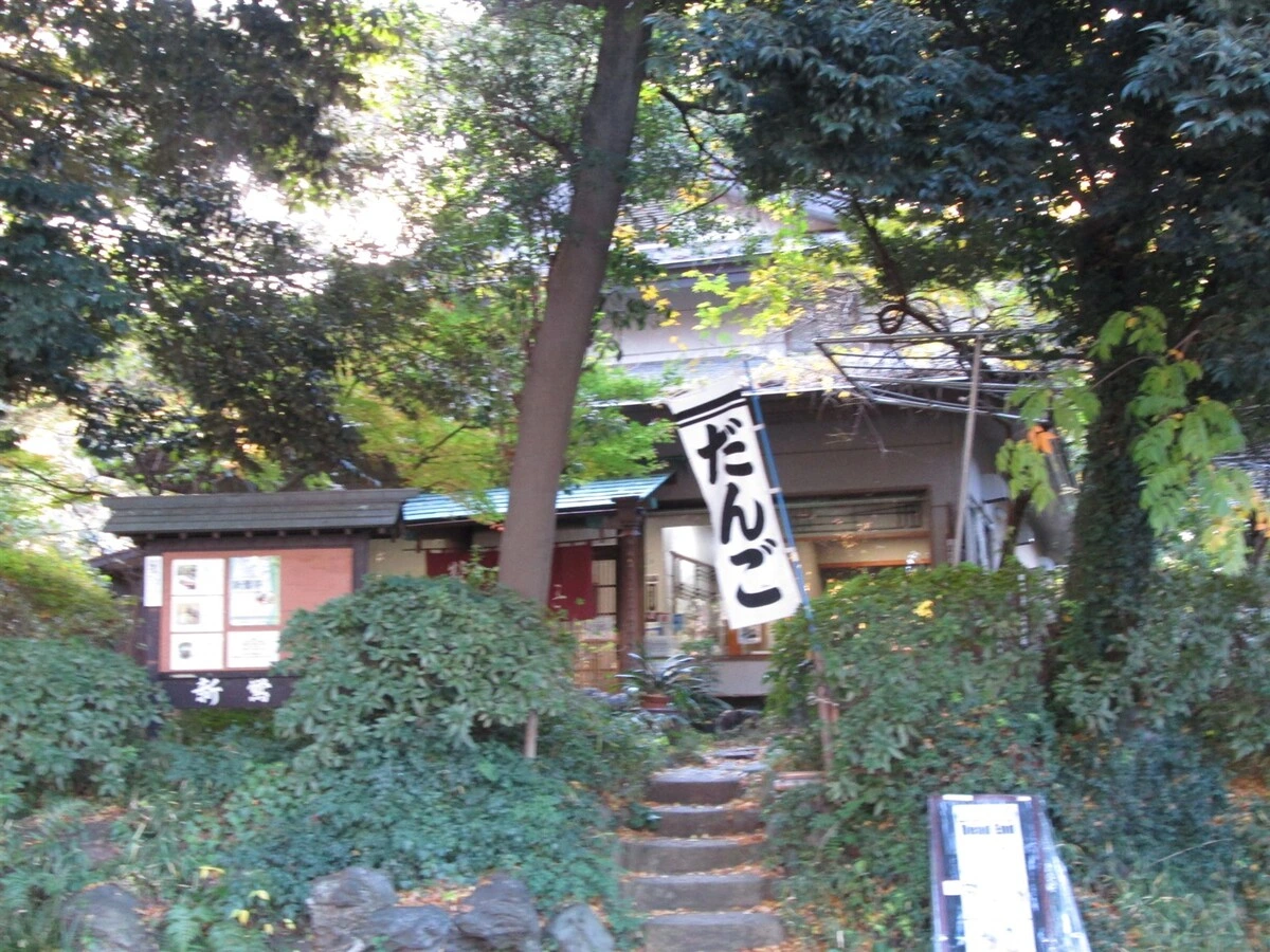 【実食レビュー】上野の森の隠れ家!100年を超える老舗「新鶯亭」で名物“鶯だんご”を味わう