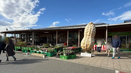 道の駅・木更津うまくたの里は何がすごい？ピーナッツ天国の実力など、人気の理由や魅力を現地レポ！