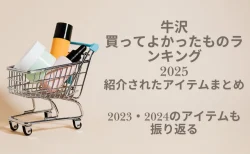 【牛沢2025買ってよかったものランキング】で紹介されたアイテム一覧！2023年、2024年のアイテムもまとめる