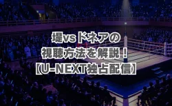 堤vsドネアの放送の視聴方法を解説！【U-NEXT独占配信】