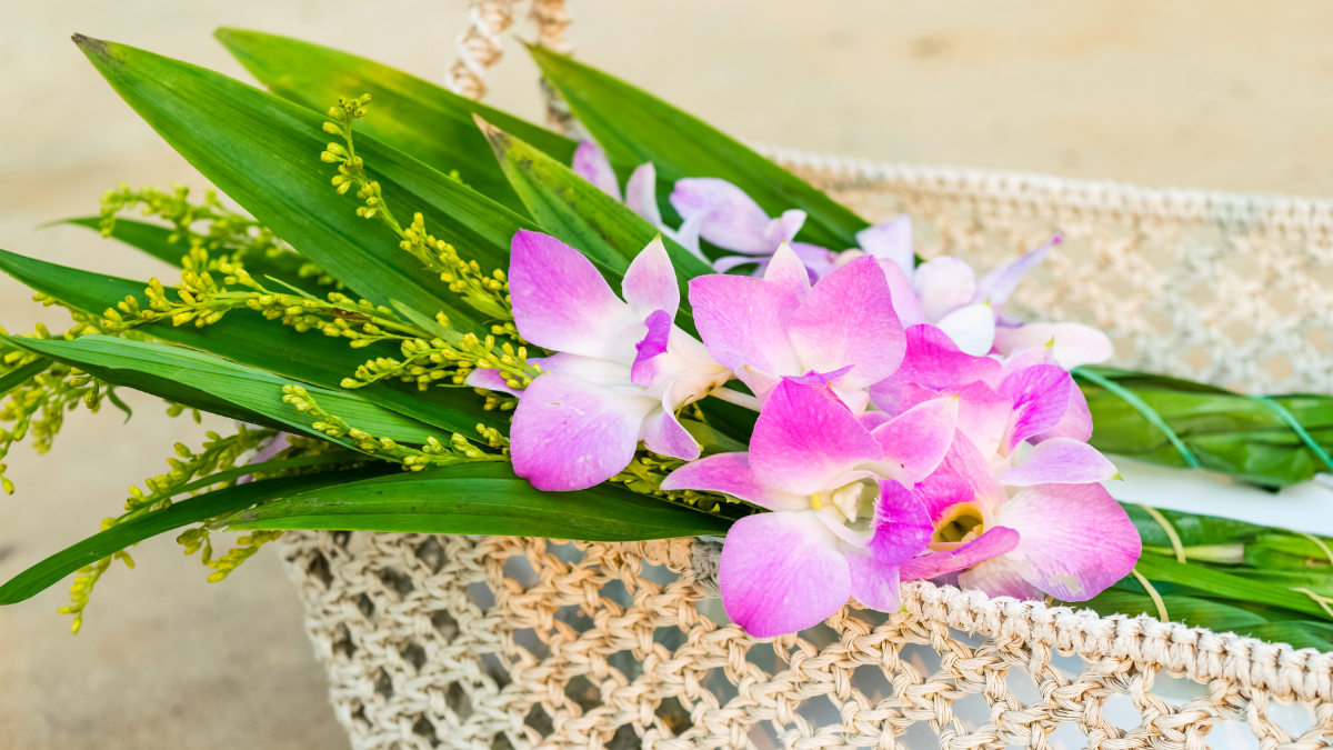 「ぼくちん、16才になれなかったよ」人気コーギー・ノエさん訃報に悲しみの声 17.7万人にYouTubeで闘病公開、最期まで愛された15年