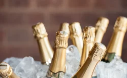 かけるんとひめか、”3850万円棄却全面敗訴”で裁判決着　何があった？どうなった？を時系列で振り返る