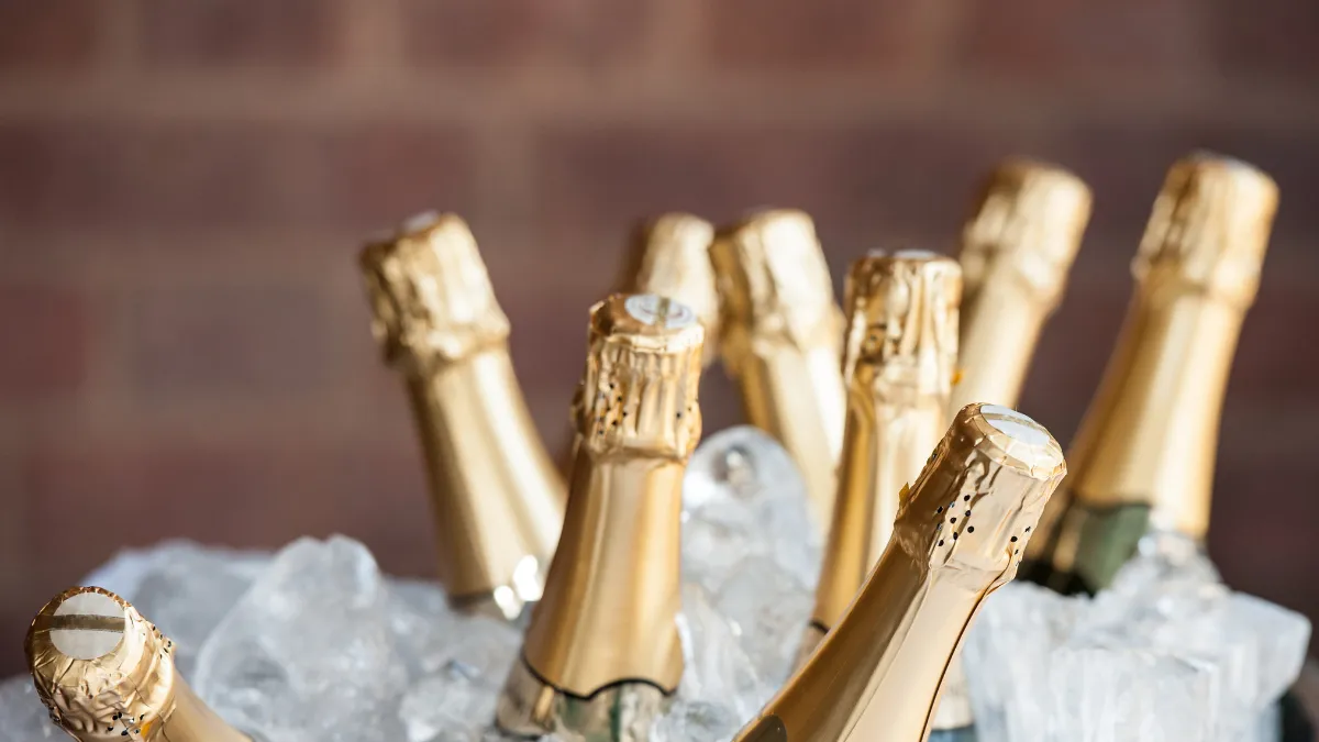 かけるんとひめか、”3850万円棄却全面敗訴”で裁判決着 何があった?どうなった?を時系列で振り返る