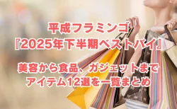平成フラミンゴ『2025年下半期ベストバイ』で紹介されたアイテム一覧！美容から食品、ガジェットまで12選を紹介