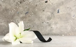 モーリー・ロバートソンさん死去、63歳　食道がんで　東大・ハーバード同時合格の華麗なる経歴