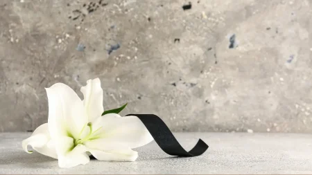 モーリー・ロバートソンさん死去、63歳　食道がんで　東大・ハーバード同時合格の華麗なる経歴