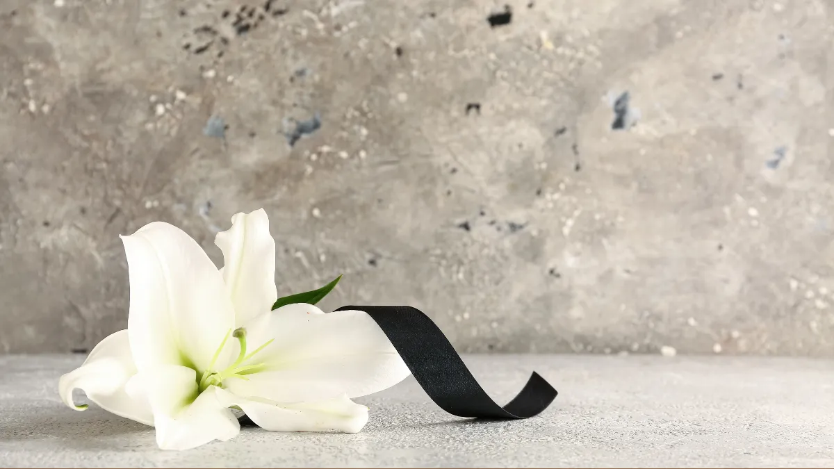 モーリー・ロバートソンさん死去、63歳 食道がんで 東大・ハーバード同時合格の華麗なる経歴