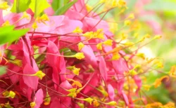 落合信彦さん84歳で死去 息子・落合陽一氏が報告「老衰のため永眠」　諜報分野の鋭い分析で知られる国際ジャーナリストの経歴を振り返る