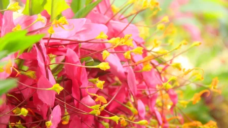 落合信彦さん84歳で死去 息子・落合陽一氏が報告「老衰のため永眠」　諜報分野の鋭い分析で知られる国際ジャーナリストの経歴を振り返る