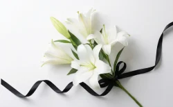 銀河鉄道999″メーテル”声優・池田昌子さん死去　享年87　声優アワード功労賞第1号の偉大すぎるキャリアとその経歴を辿る