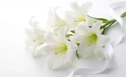 安田忠夫さん62歳で突然の訃報　大相撲→プロレス→総合格闘技の移植の経歴と破天荒な人生を辿る