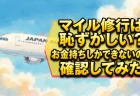 マイル修行は恥ずかしい？お金持ちしかできないのか確認してみた