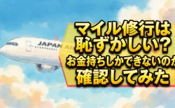 マイル修行は恥ずかしい？お金持ちしかできないのか確認してみた