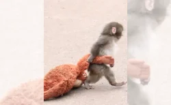 パンチくん飼育員が”イケメン”と話題に「性格もイケメン」宮腰さん・鹿野さんの献身に感動の声