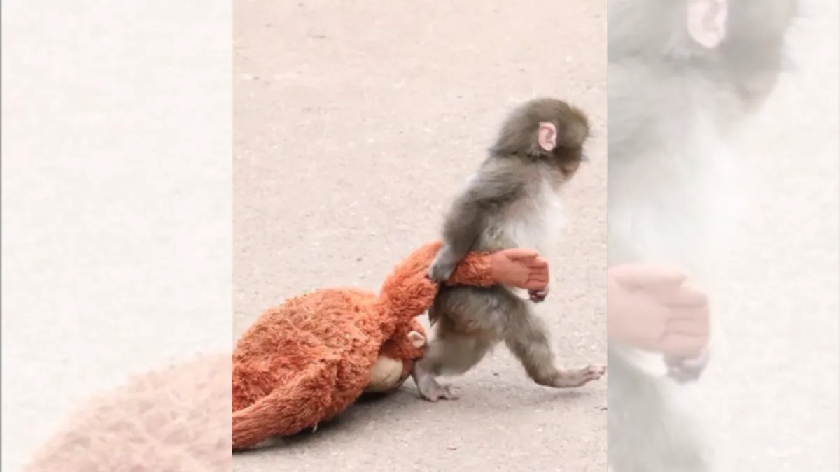 パンチくん飼育員が”イケメン”と話題に「性格もイケメン」宮腰さん・鹿野さんの献身に感動の声