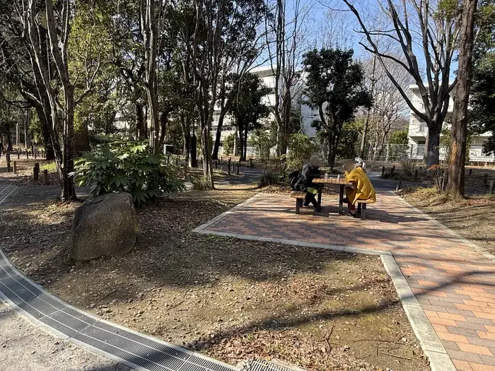 画像 木陰のベンチ