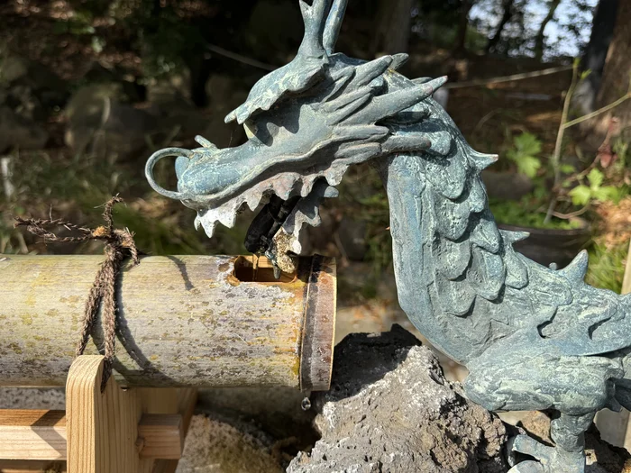手水舎の龍（クローズアップ）