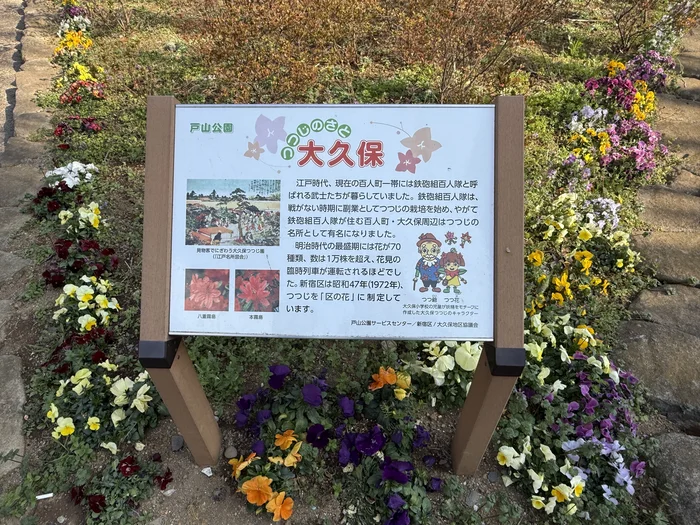 画像 大久保つつじの由来案内板