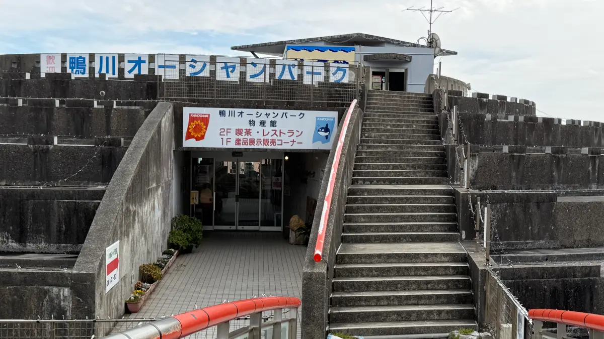 巨大なサザエ？道の駅「鴨川オーシャンパーク」2月訪問記！冬の静けさと絶景展望台をレポ