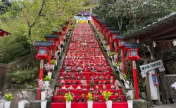 【勝浦ビッグひな祭り2026体験記】混雑回避の穴場時間は？遠見岬神社の石段雛を金曜午後に満喫！商店街の見どころなども