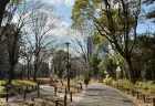 戸山公園 大久保地区を散策レビュー！尾張徳川家の名園跡に残る歴史と、休日・平日の雰囲気を写真付きで紹介