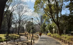 戸山公園 大久保地区を散策レビュー！尾張徳川家の名園跡に残る歴史と、休日・平日の雰囲気を写真付きで紹介
