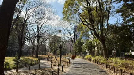 戸山公園 大久保地区を散策レビュー！尾張徳川家の名園跡に残る歴史と、休日・平日の雰囲気を写真付きで紹介