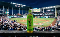 WBCソトが「おーいお茶」を隠した理由は？タティスJr.は真逆の対応で伊藤園も反応【ソト効果まとめ】