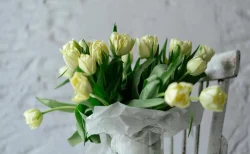 共犯者・洋平が26歳で急逝　館山出身の経歴や死因「急性の疾患」の詳細と相方・国京の胸中